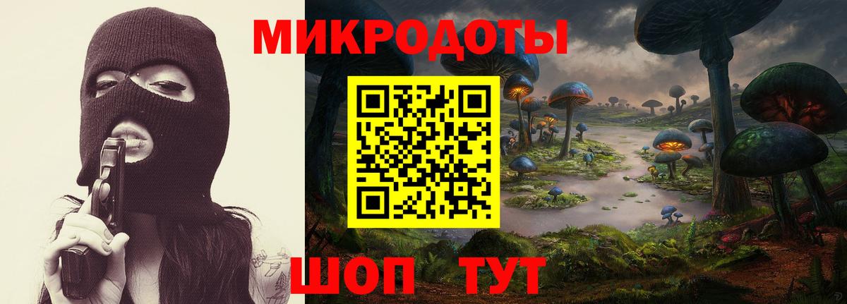 закладка  Псилоцибиновые грибы Magic Shrooms  Галлюциногенные грибы GOLDEN TEACHER  Вход с VPN  Свободный 